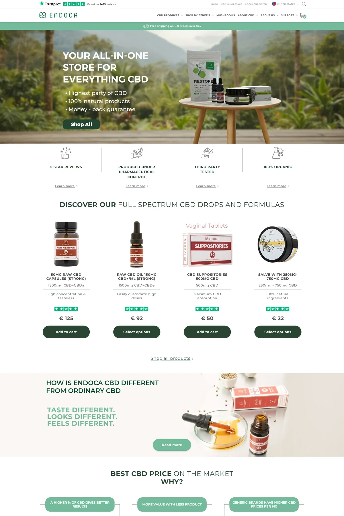 Endoca website preview